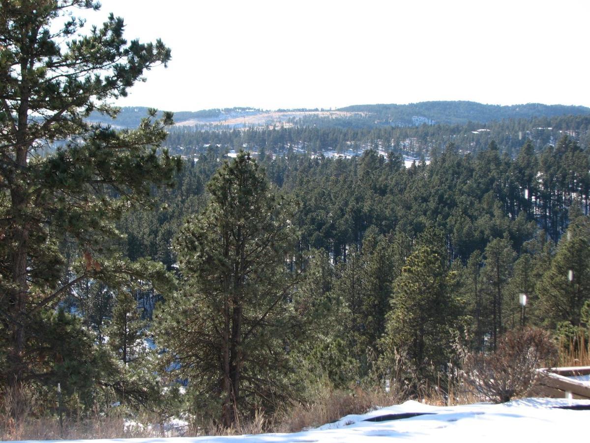 Priceless Black Hills View Rapid City Eksteriør billede